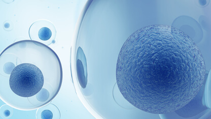 visualization of blue cell therapies floating in solution